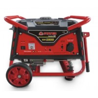 Benzininis generatorius Stayer GAV 2800 AVR