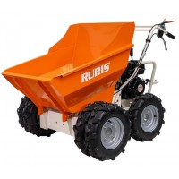 Benzininis karutis RTS6000